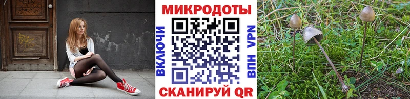 Галлюциногенные грибы MAGIC MUSHROOMS  Сясьстрой 